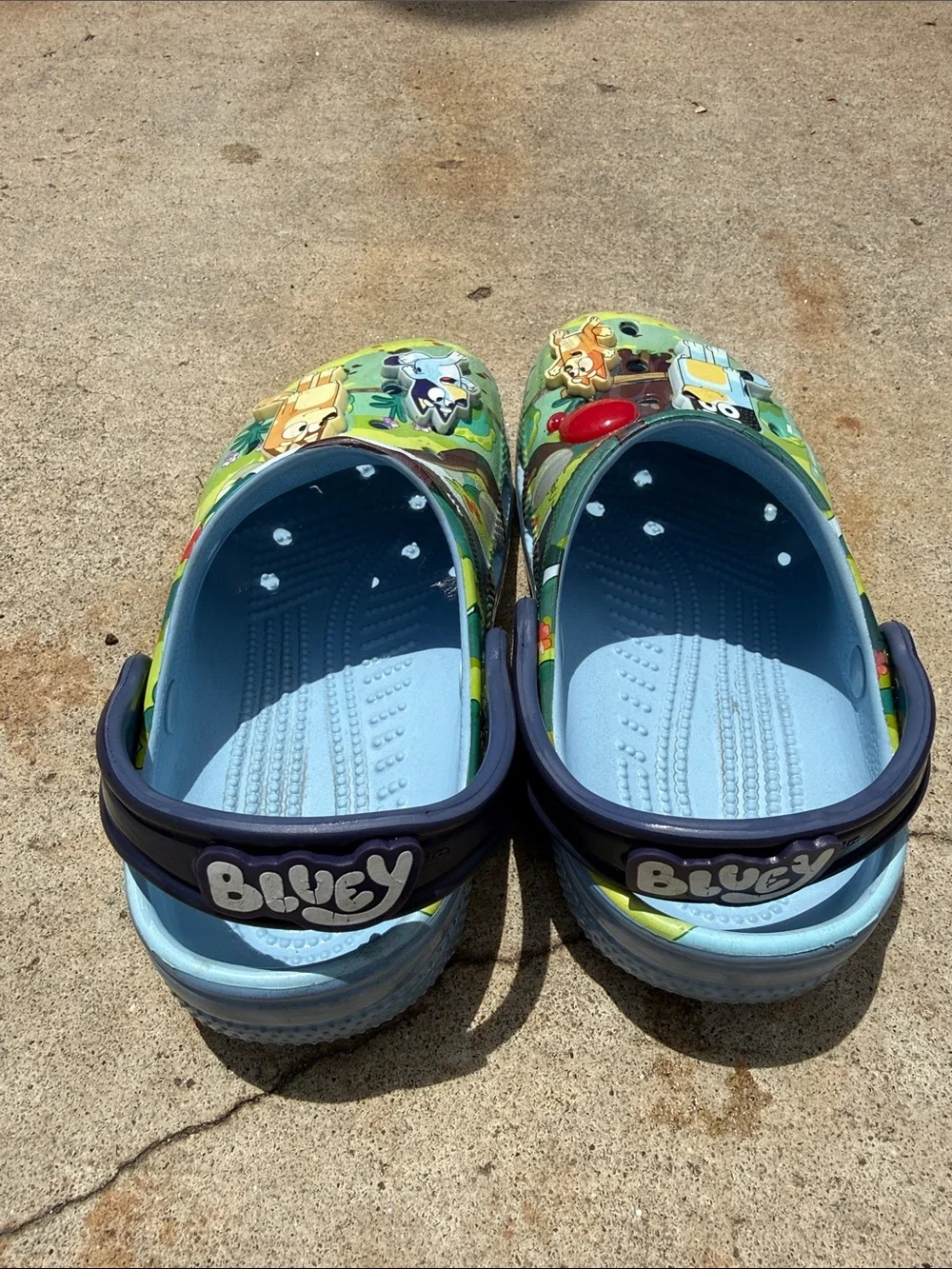 CROCS Kids bluey and bingo size 2
